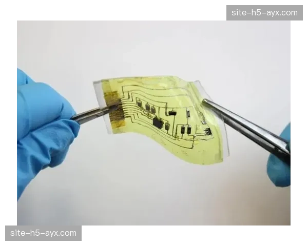 检录环节引入电子皮肤标签，运动员核身过程缩短至秒级